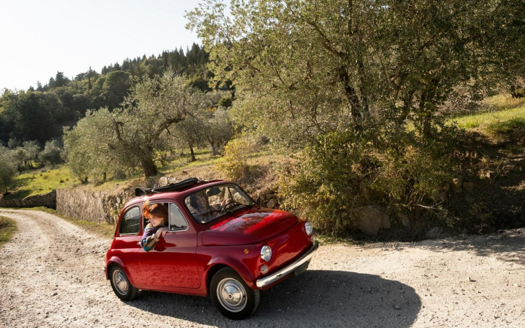 Organiser une visite guidée inoubliable de la Camargue en 2CV