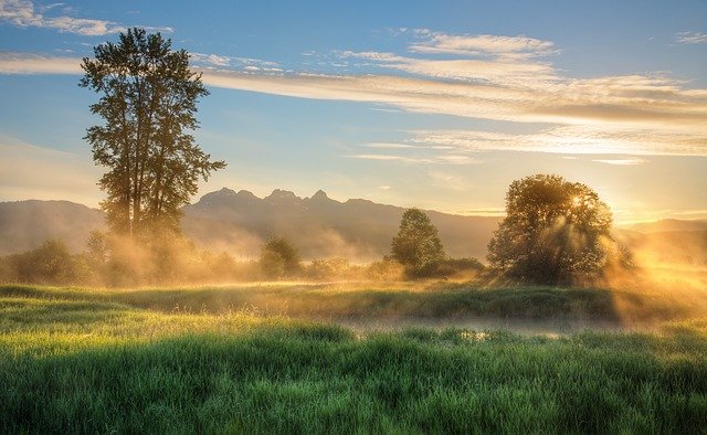 Tout savoir sur le camping à la plage Argelès