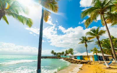 Destination Guadeloupe pour des vacances hautes en couleurs !