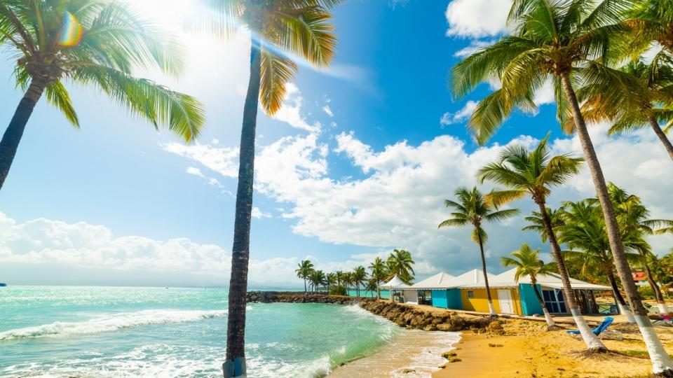 Destination Guadeloupe pour des vacances hautes en couleurs !