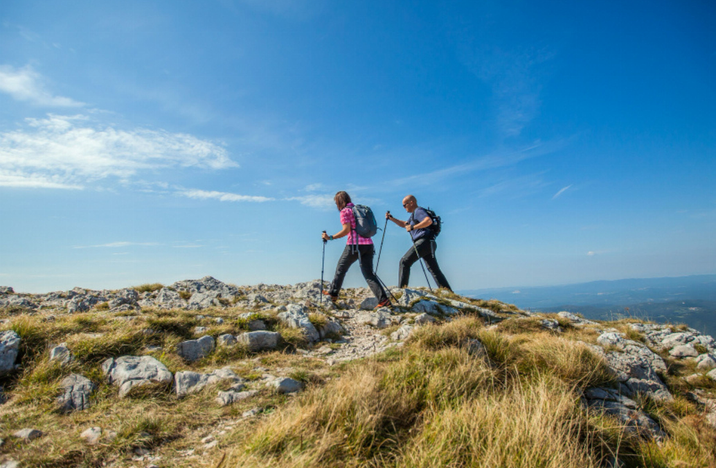 Pourquoi passer vos vacances a la montagne ?