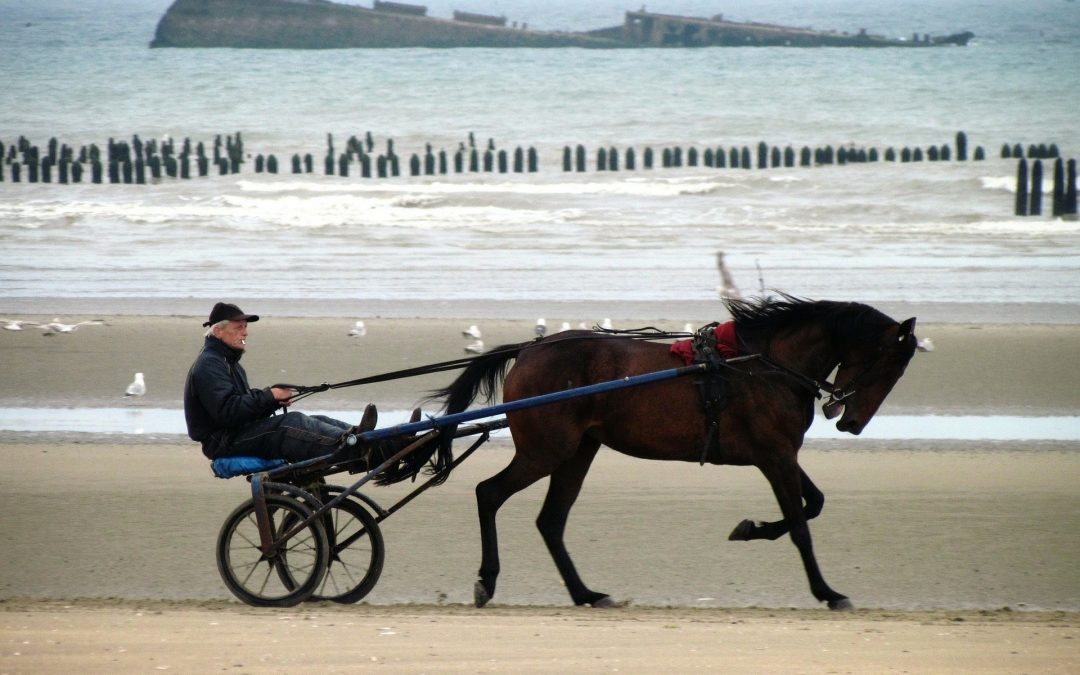 Vacances en famille en Normandie